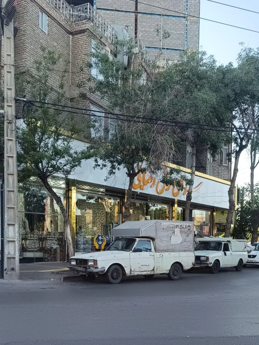 فرش پارمیس - فرش و موکت در مشهد - تصویر 3