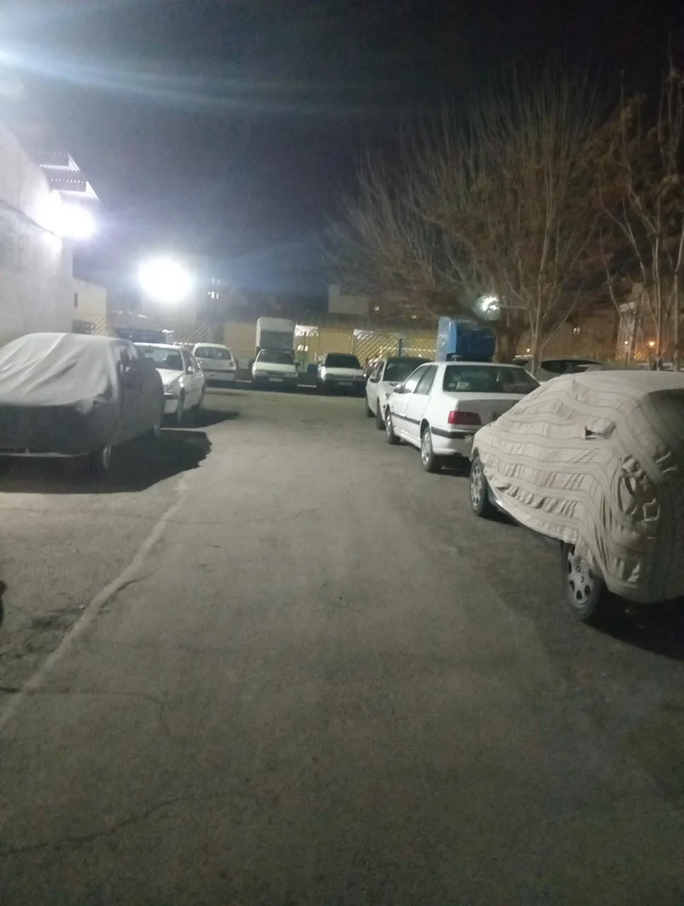 مجموعه ورزشی شهید پناهی - تصویر 5