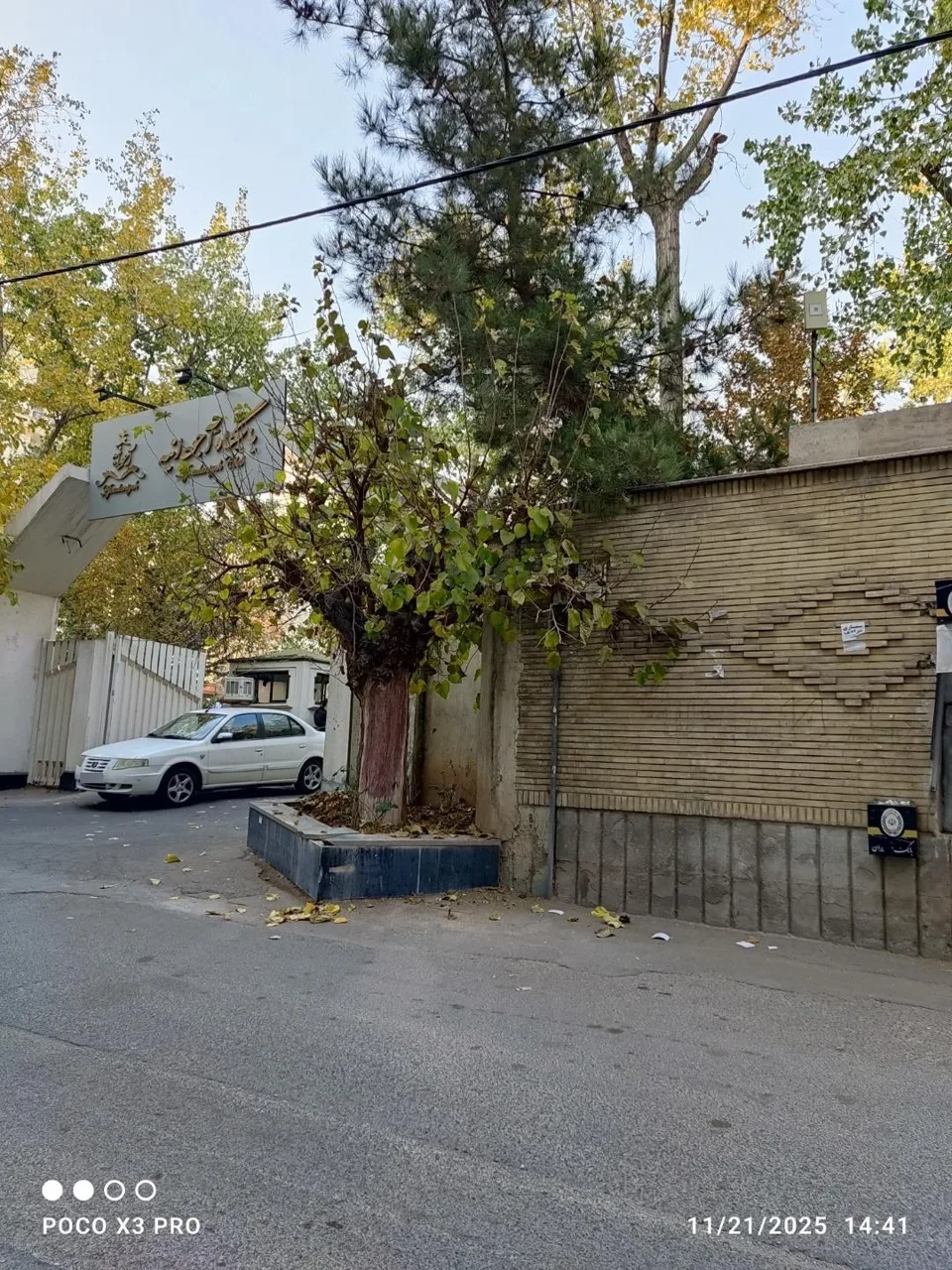 باشگاه بانک ملی (باشگاه آجودانیه) - تصویر 3