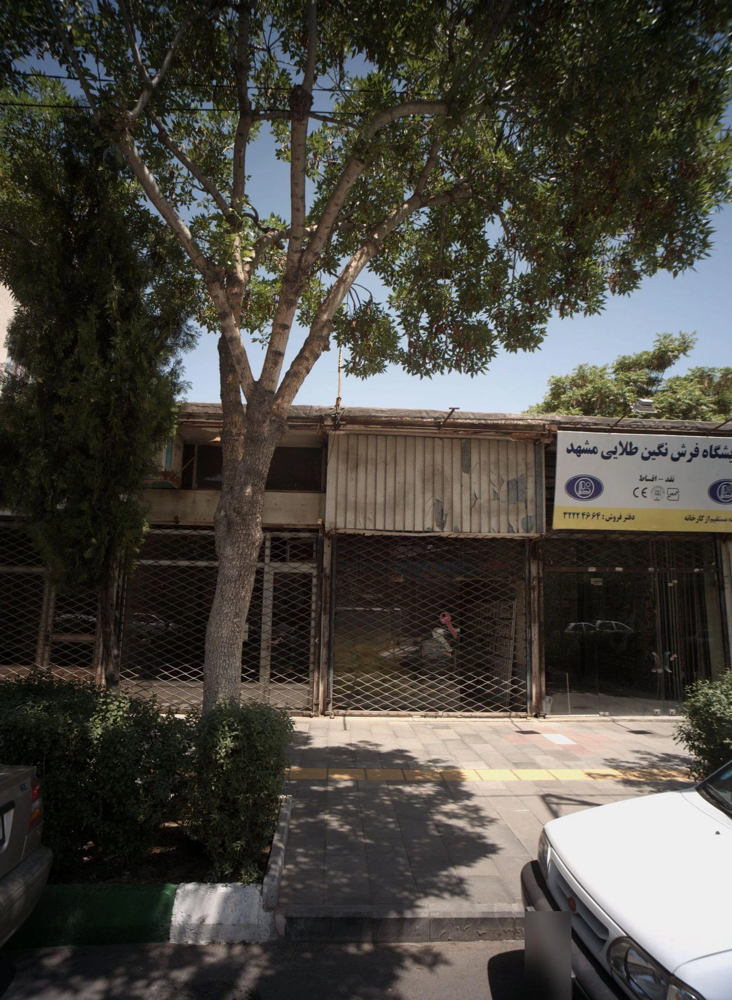 نمایشگاه فرش نگین طلایی مشهد - فرش و موکت در مشهد - تصویر 2