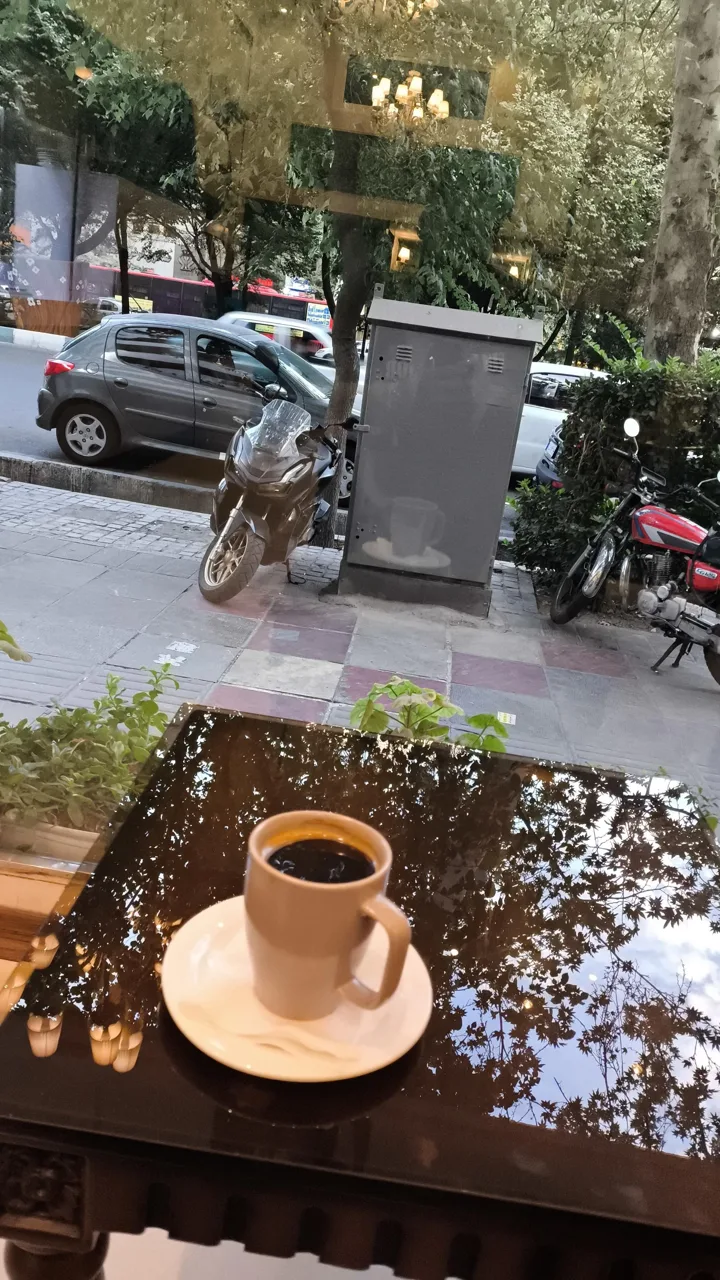 هتل ورنوس - تصویر 3