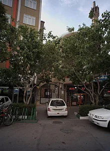 فرش پارسیان