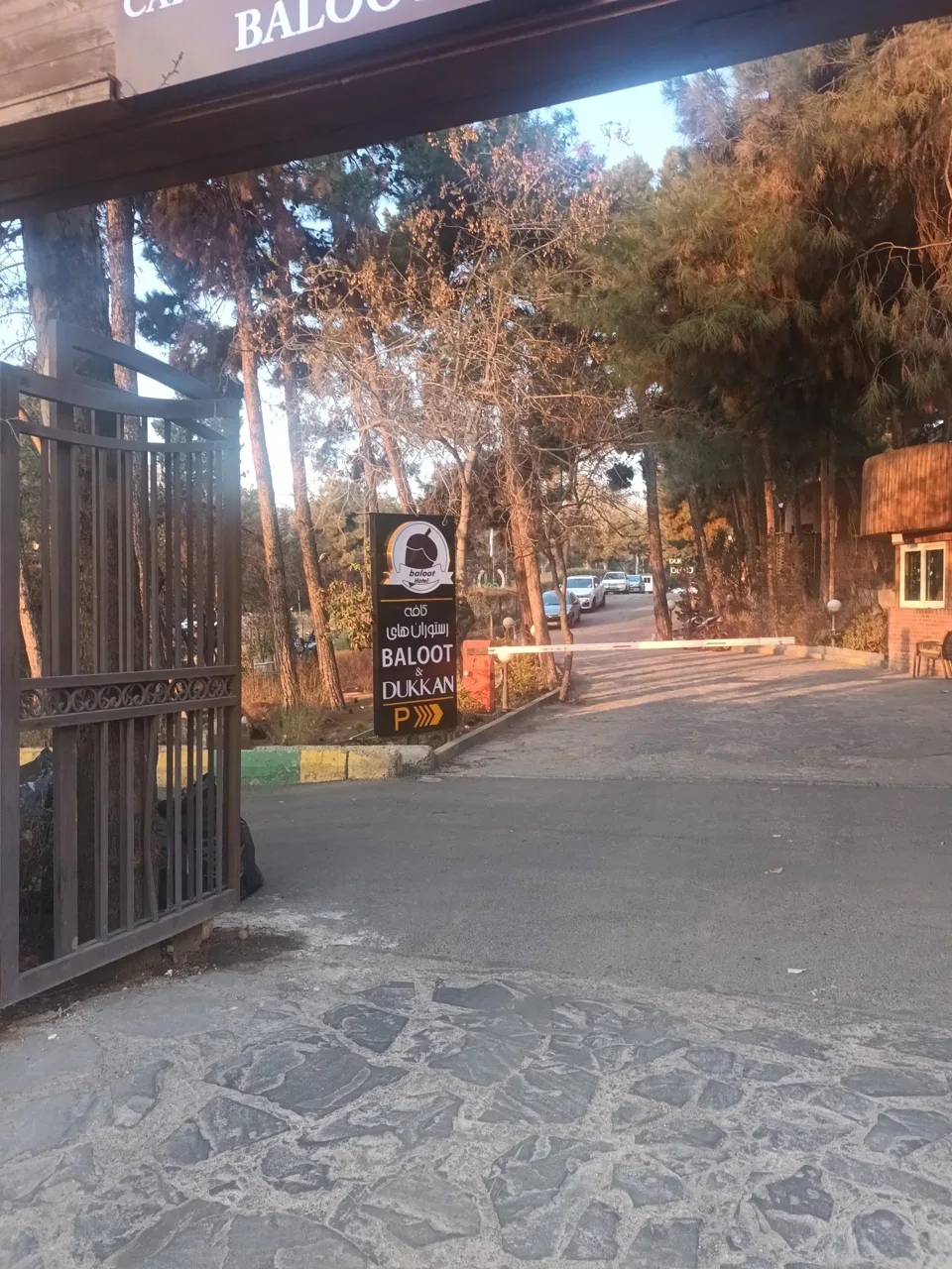 هتل بلوط تهران - تصویر 3