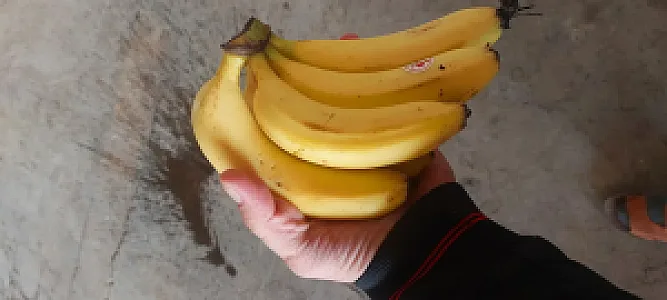 بارفروشی نبی بسطامی