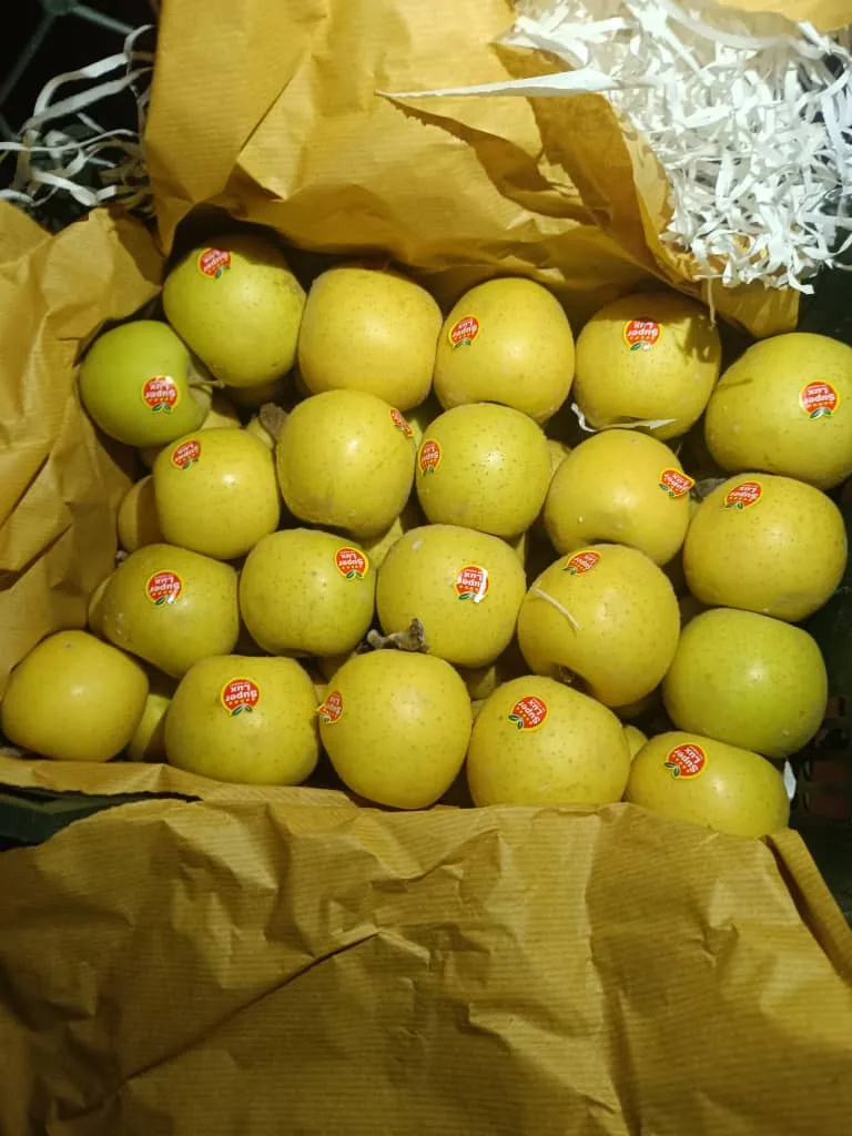بارفروشی نبی بسطامی - تصویر 2
