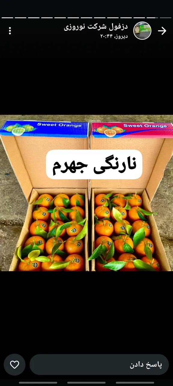 بارفروشی نبی بسطامی - تصویر 5