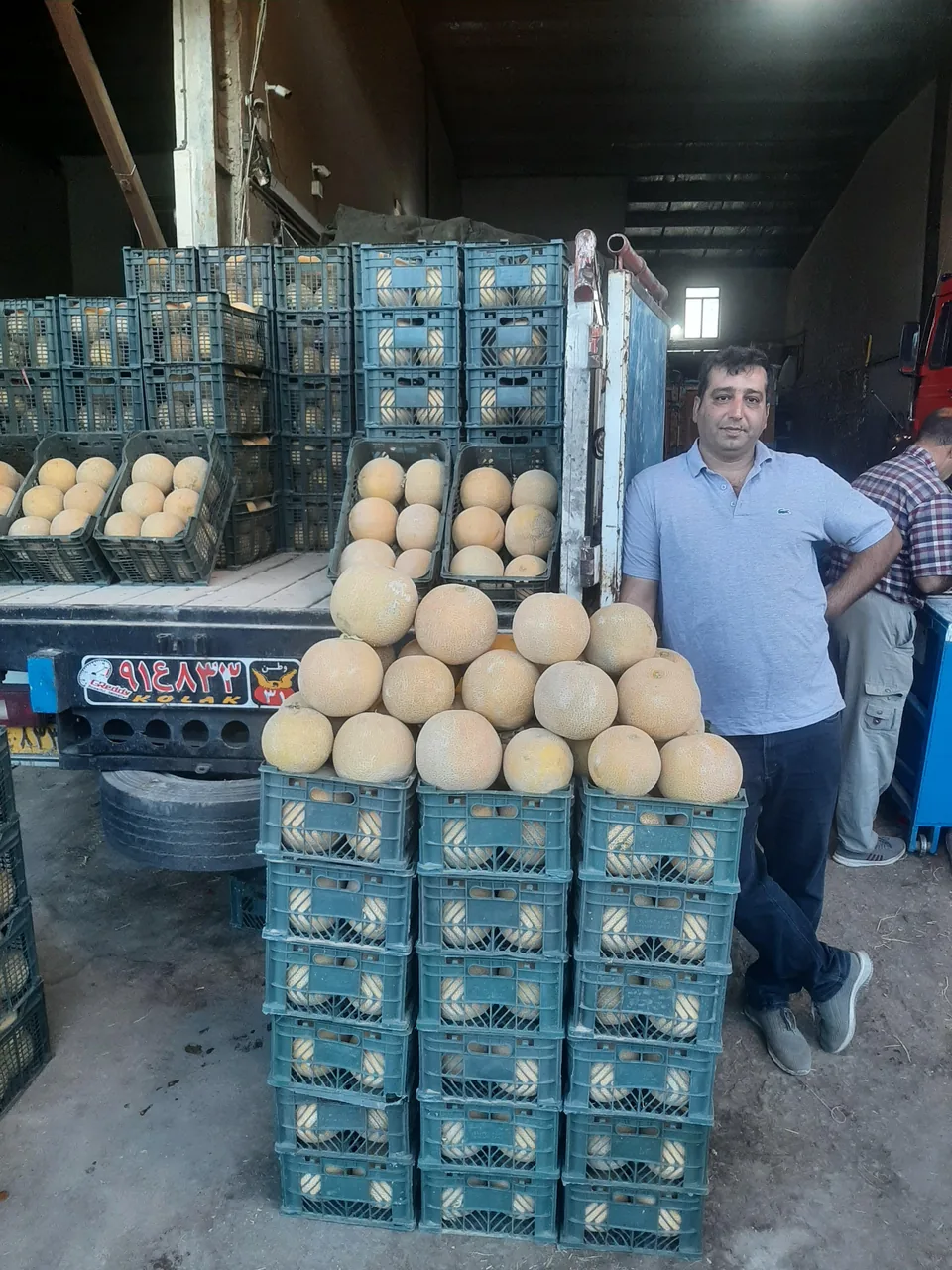 میوه فروشی محمدرضا بستامی و پسران - تصویر 3