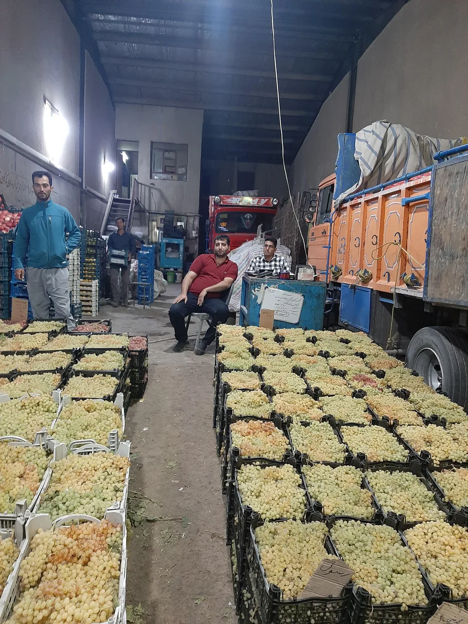میوه فروشی محمدرضا بستامی و پسران - تصویر 5