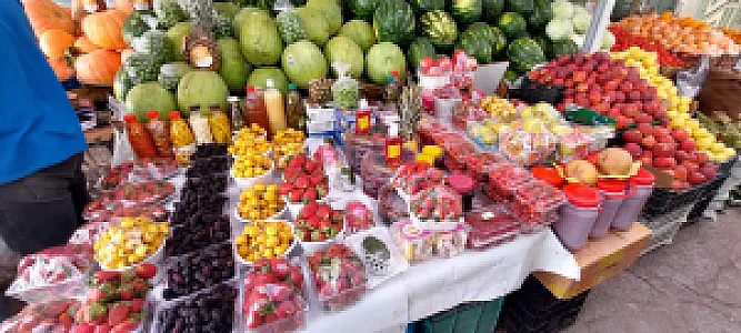 میوه فروشی برادران شیراوند