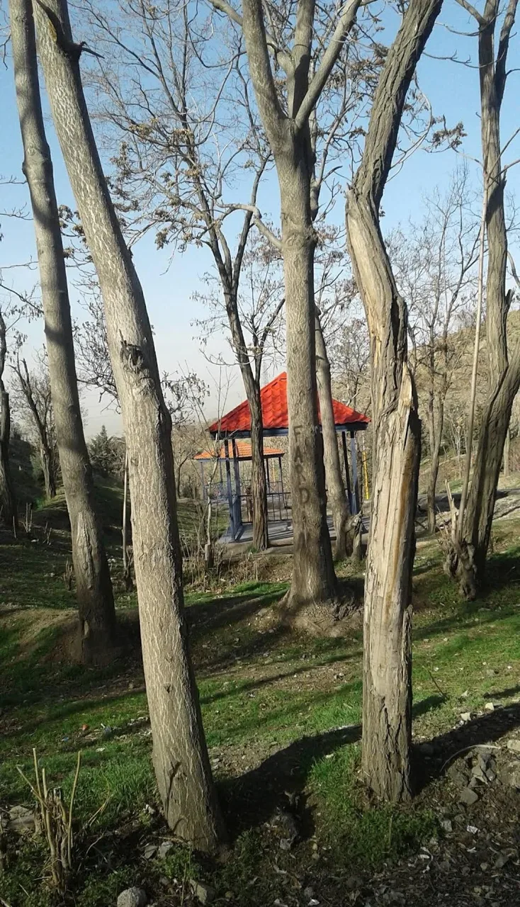 هتل شیان - تصویر 5