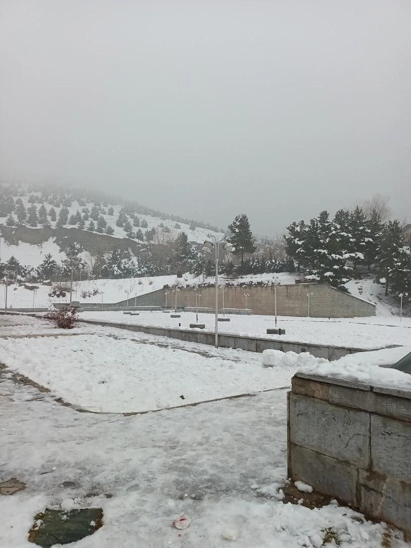 هتل فرهیختگان - تصویر 4