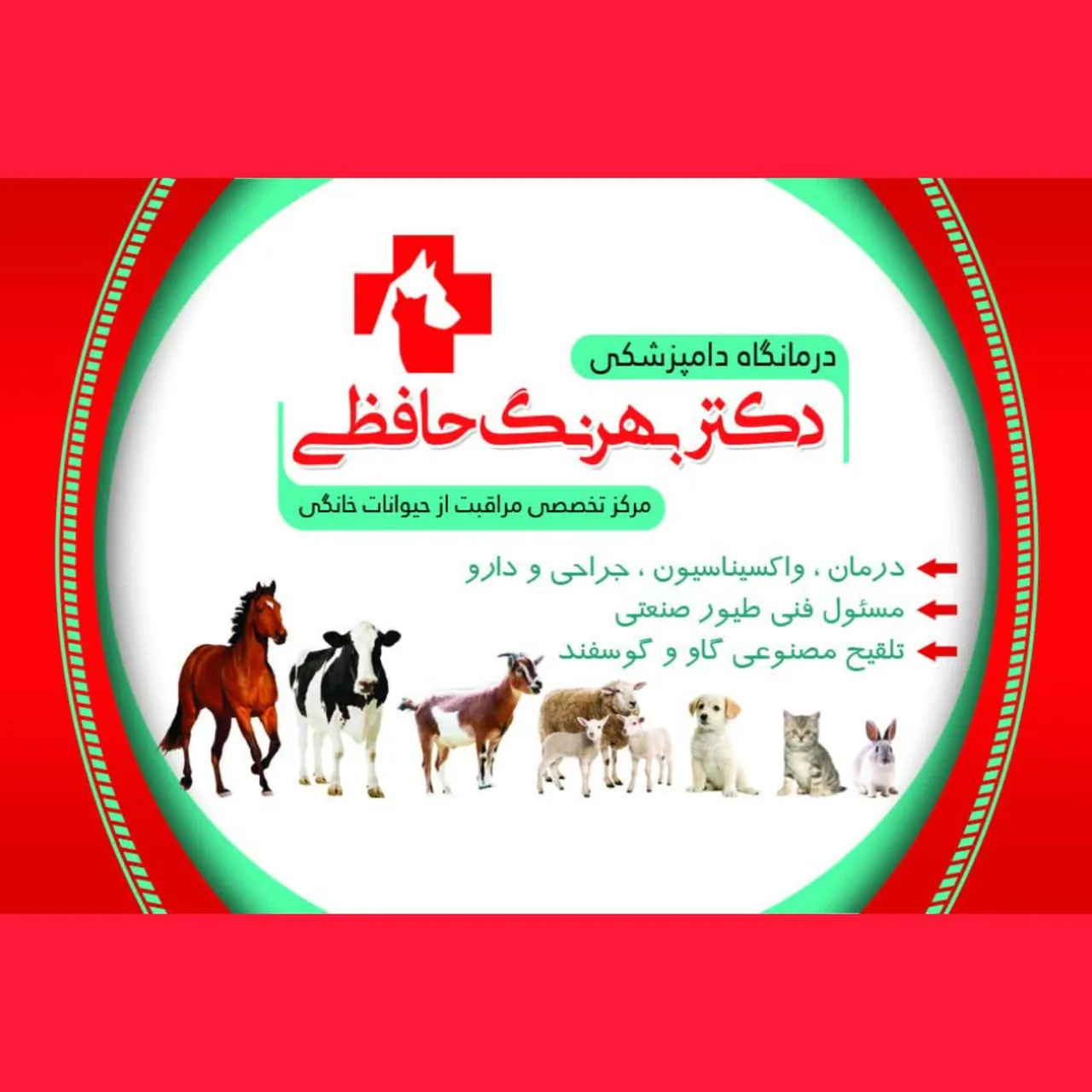 درمانگاه دامپزشکی دکتر حافظی - تصویر 3