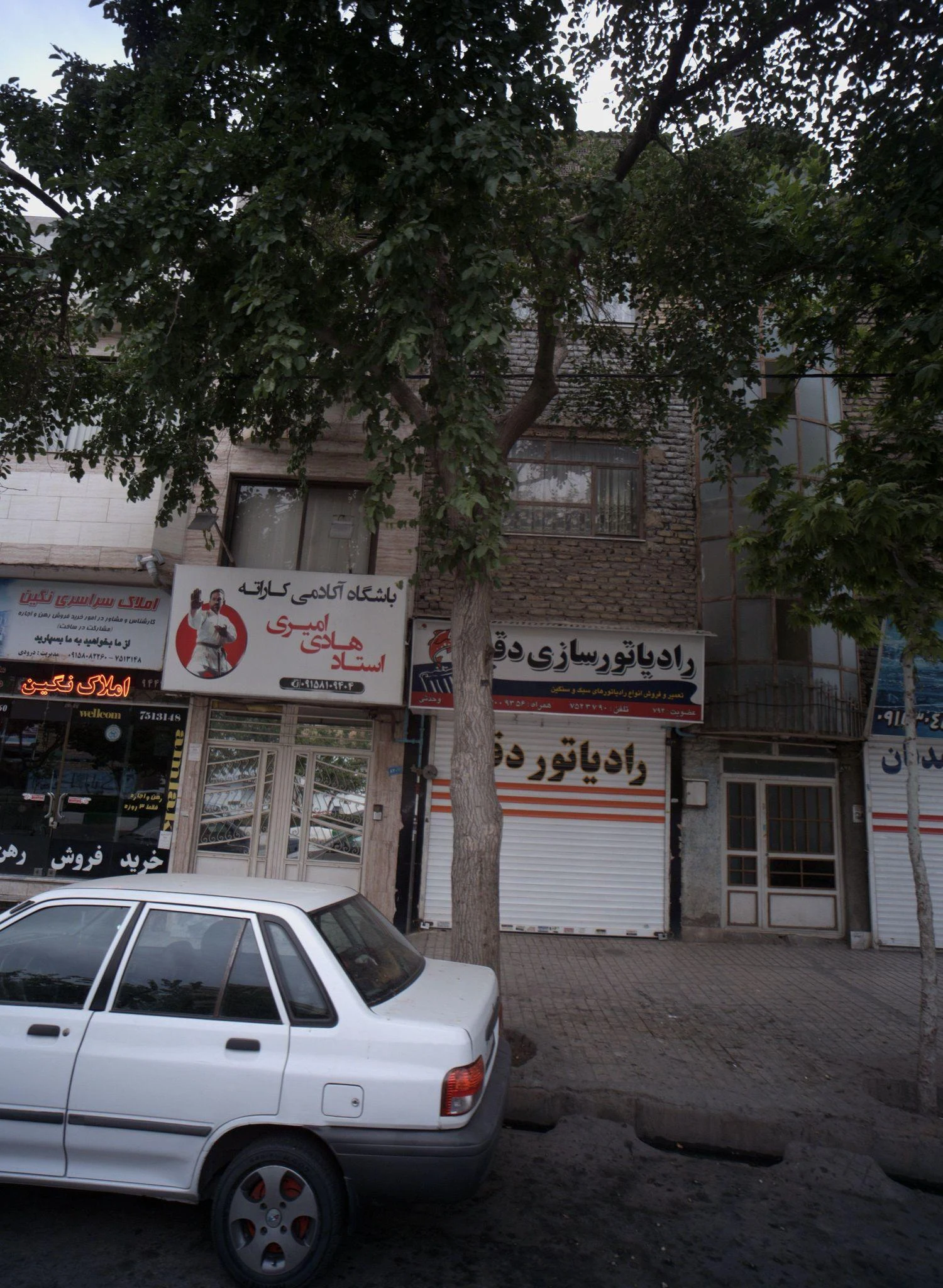 باشگاه آکادمی کاراته استاد هادی امیری