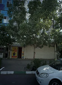 باشگاه ورزشی شوکا