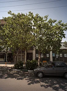 باشگاه بدنسازی برادران تبریزی