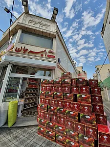 امیرجان