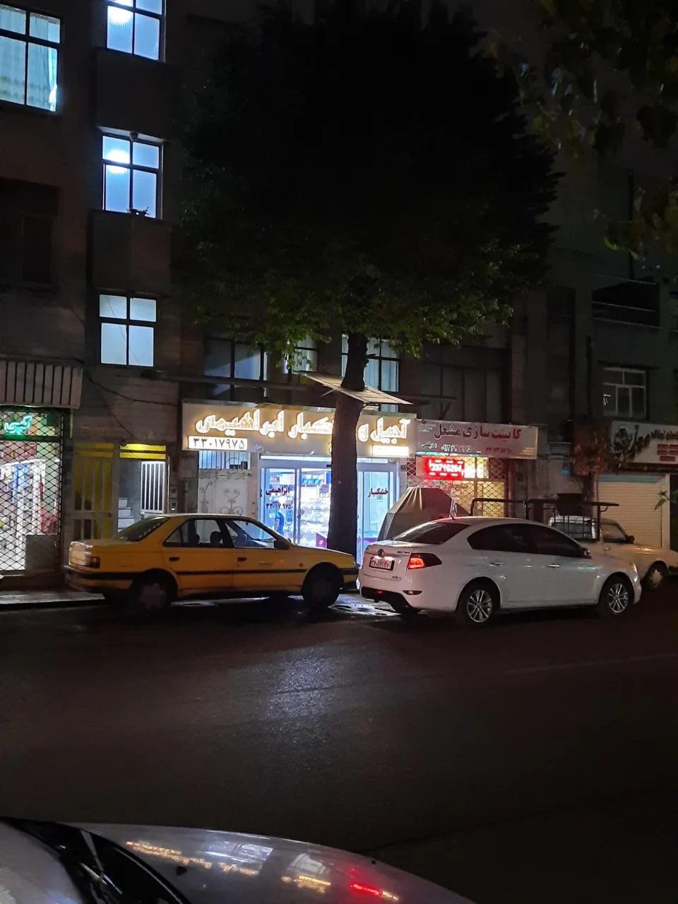 خشکبار ابراهیمی - تصویر 5