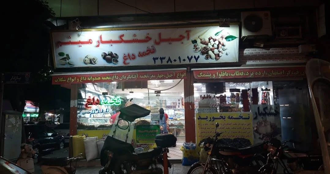خشکبار میثم - تصویر 2