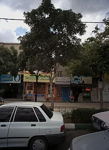 باشگاه فرهنگی ورزشی عالی حرفه ای بابک