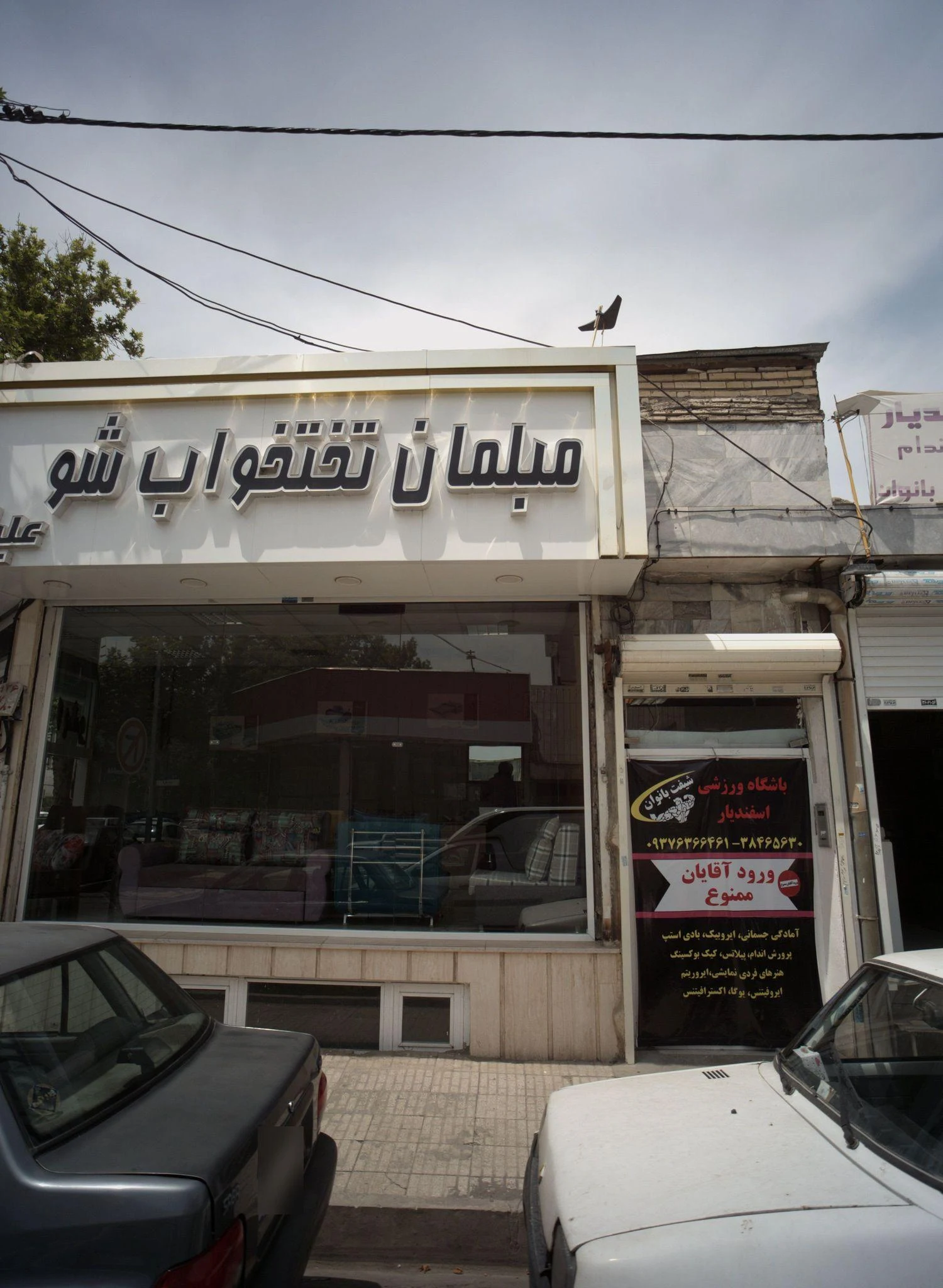 باشگاه ورزشی اسفندیار