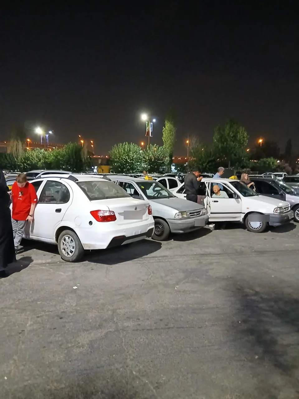 پارکینگ باغ وحش ارم سبز - تصویر 2