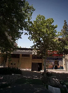 مجموعه ورزشی جام برتر