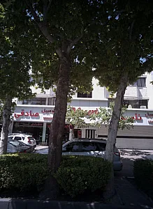 باشگاه ورزشی بانوان آبتین