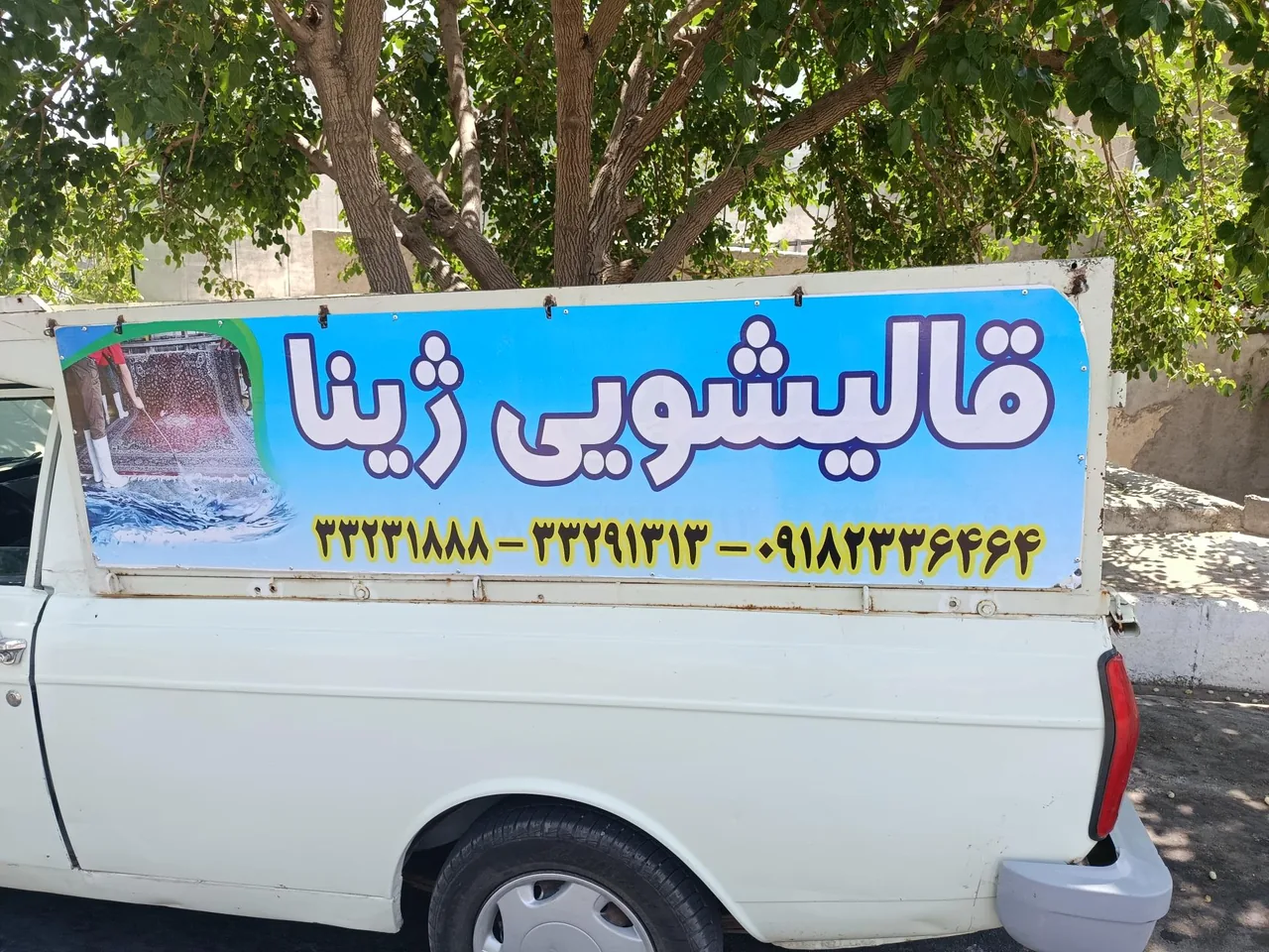 قالیشویی ژینا