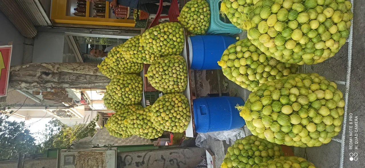 لیمو سرای سالار - تصویر 4