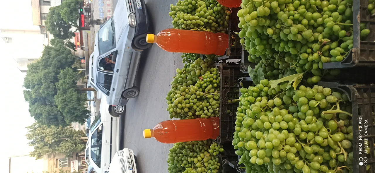 لیمو سرای سالار - تصویر 5