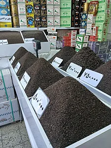 چای کردستان