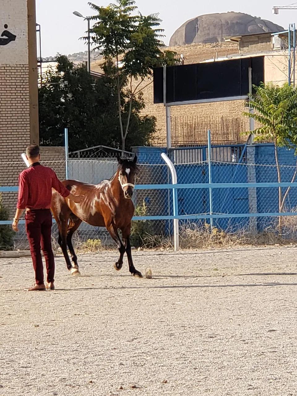 باشگاه سوارکاری ابرش