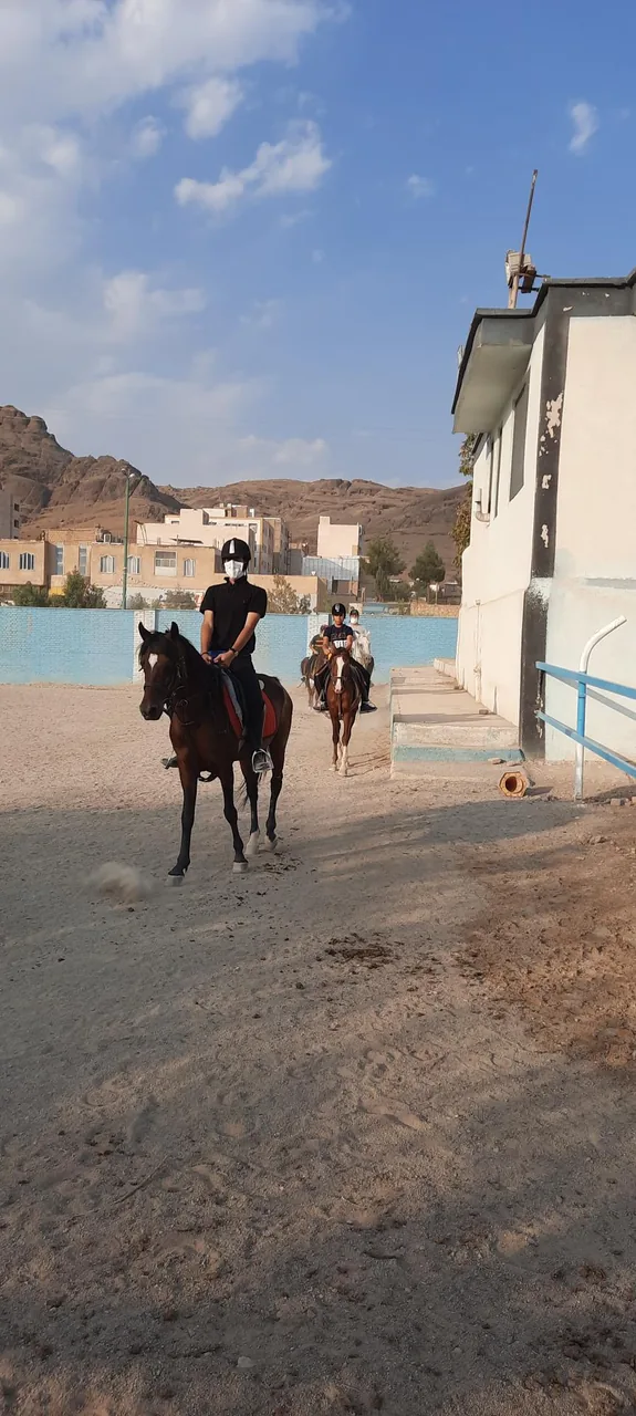 باشگاه سوارکاری ابرش - تصویر 2