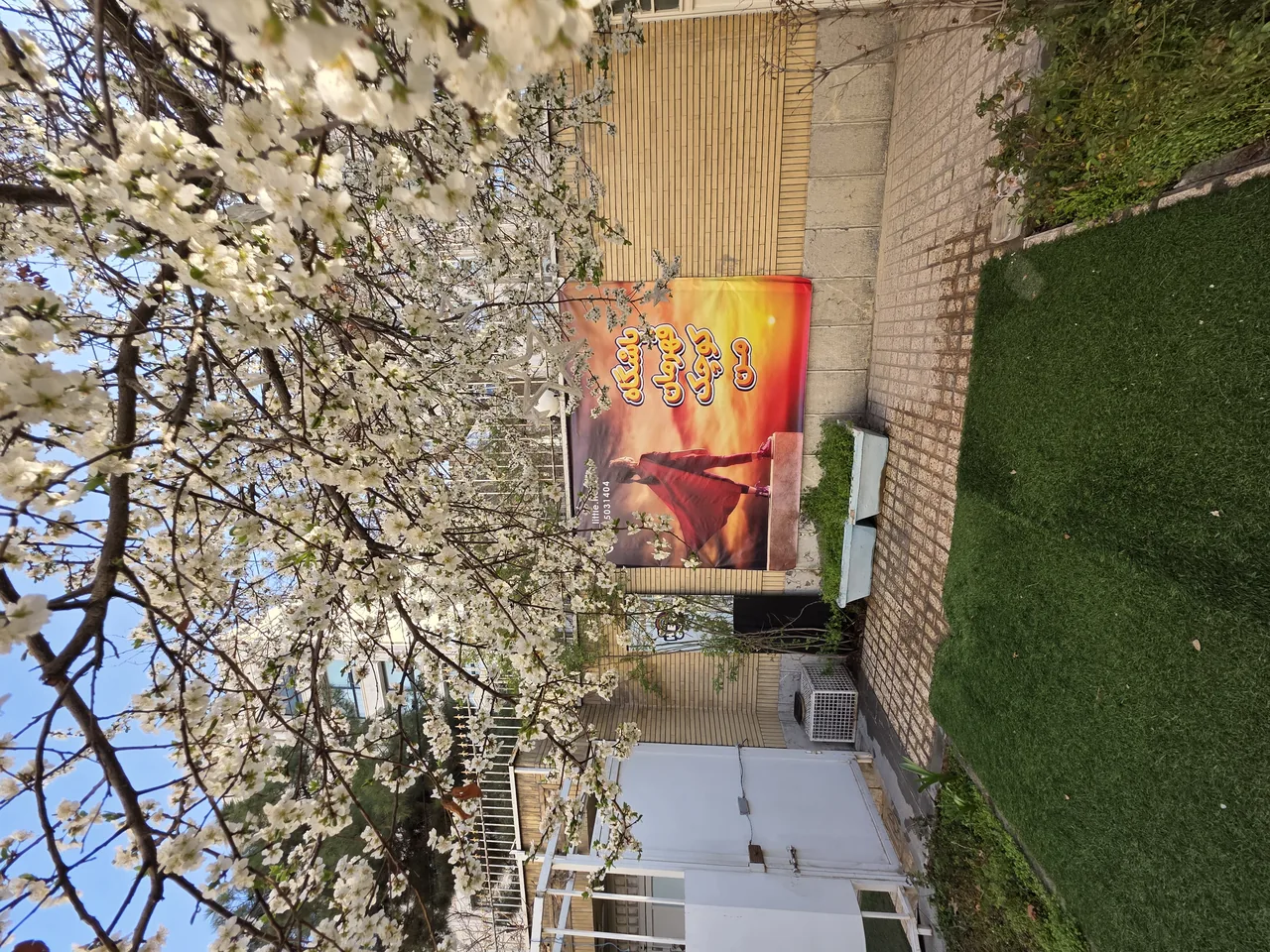 تخصصی ورزشی کودکان قهرمان کوچک من - تصویر 3
