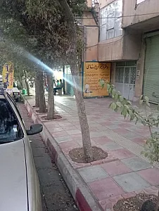 پیشخوان گفتاری