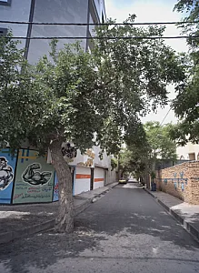 پرورش اندام  تک اندام
