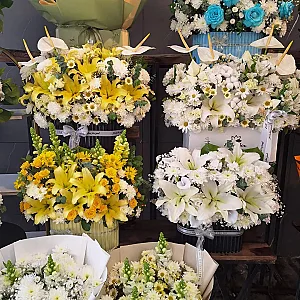 گلفروشی شهر گل