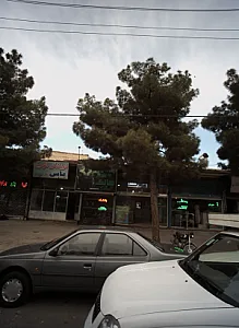 پرورش اندام هالک