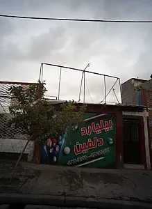 بیلیارد دلفین