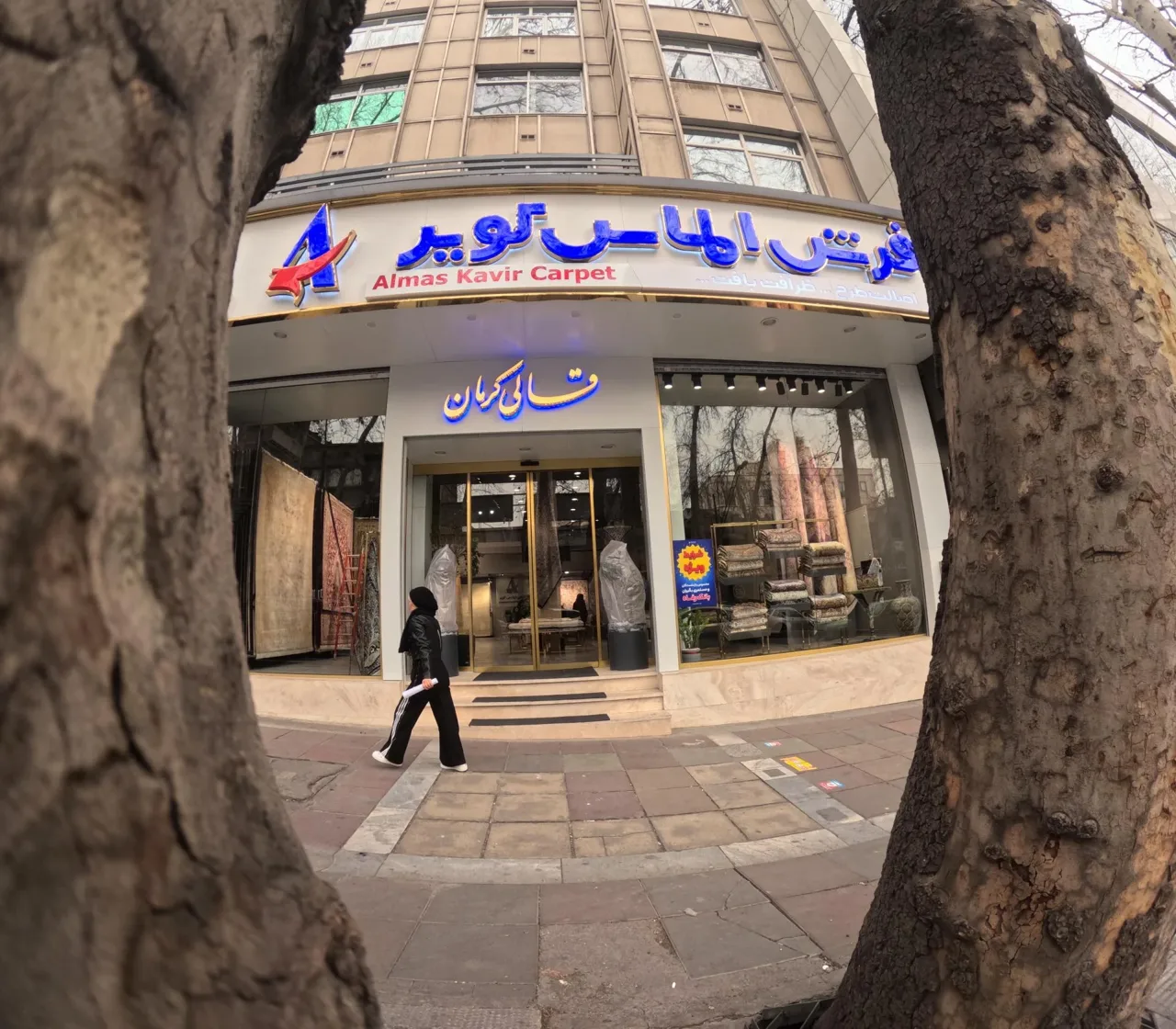 فرش الماس کویر کرمان - تصویر 2