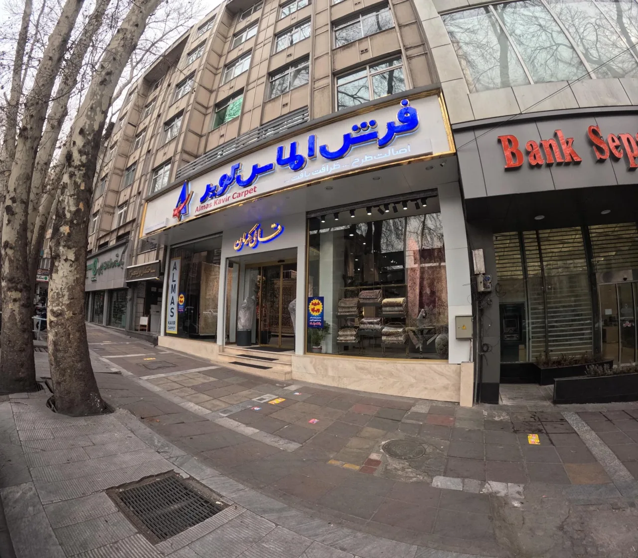 فرش الماس کویر کرمان - تصویر 3