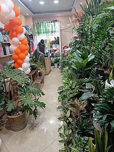 گلفروشی ژیوار