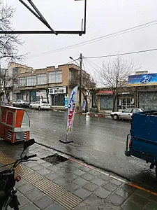 کافی نت پوریا