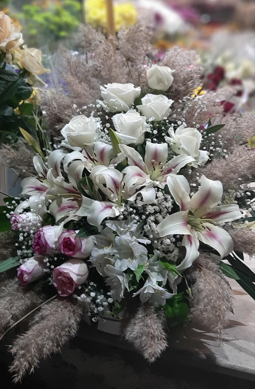 گل کاغذی - تصویر 3