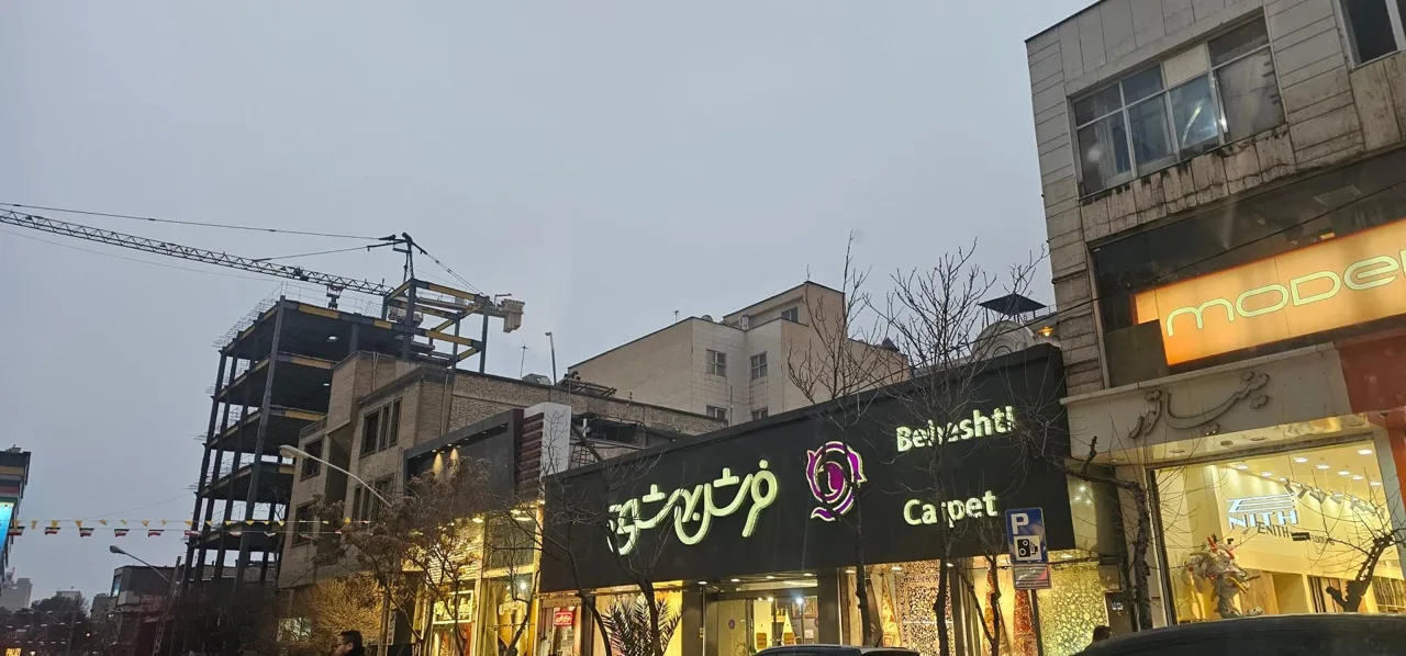 فرش بهشتی - تصویر 4