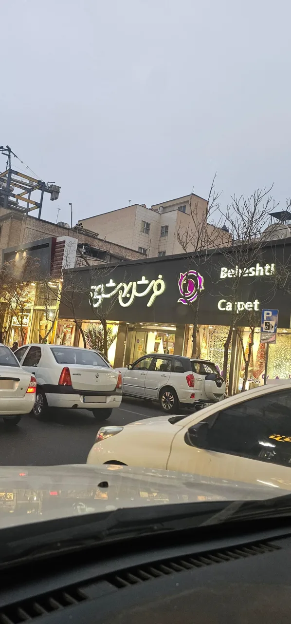 فرش بهشتی - تصویر 5