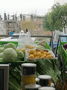 سوپر میوه نودهی