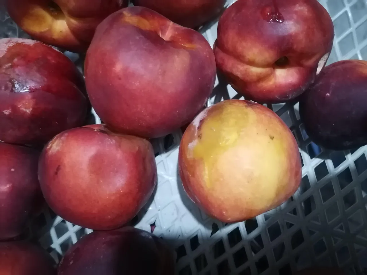 سوپر میوه نودهی - تصویر 3