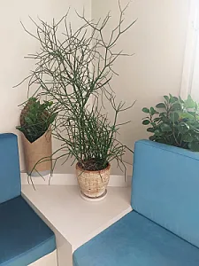 مطب دکتر احسان کرباسی