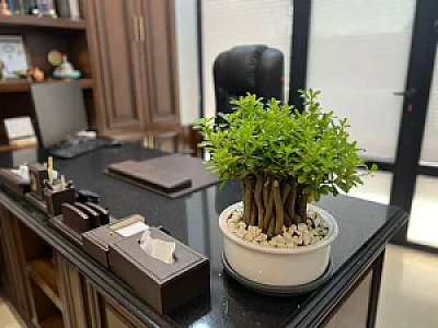 مطب دکتر علی یعقوبی جویباری